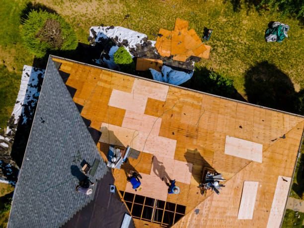 Best Roofing Contractor Near Me  in Franklin, GA