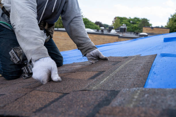 Best Roof Maintenance Services  in Franklin, GA